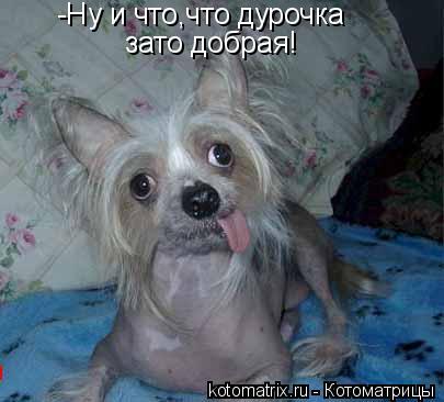 Котоматрица: -Ну и что,что дурочка зато добрая!
