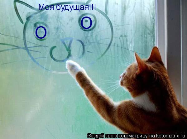 Котоматрица: Моя будущая!!! О О