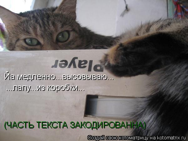 Котоматрица: Йа медленно...высовываю... ...лапу...из коробки... (ЧАСТЬ ТЕКСТА ЗАКОДИРОВАННА)