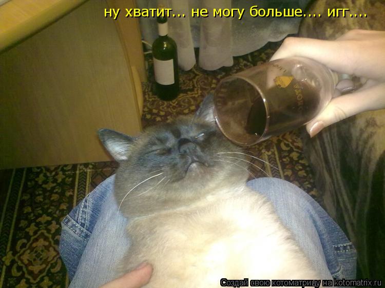 Котоматрица: ну хватит... не могу больше.... игг....