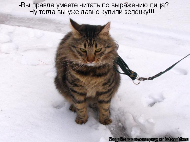 Котоматрица: -Вы правда умеете читать по выражению лица? Ну тогда вы уже давно купили зелёнку!!!