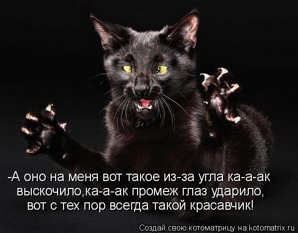 Котоматрица: -А оно на меня вот такое из-за угла ка-а-ак выскочило,ка-а-ак промеж глаз ударило, вот с тех пор всегда такой красавчик!