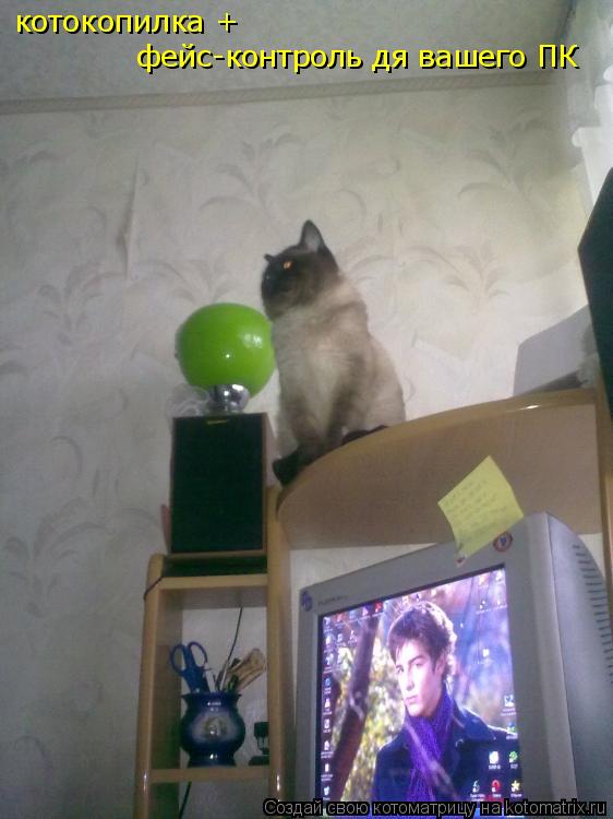 Котоматрица: котокопилка + фейс-контроль дя вашего ПК котокопилка +  фейс-контроль дя вашего ПК