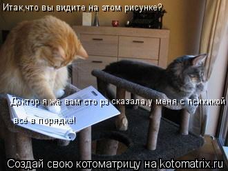Котоматрица: Итак,что вы видите на этом рисунке? Доктор я же вам сто рз сказала,у меня с психикой всё в порядке!