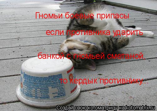 Котоматрица: Гномьи боевые припасы если противника ударить банкой с гномьей сметаной, то кердык противнику...