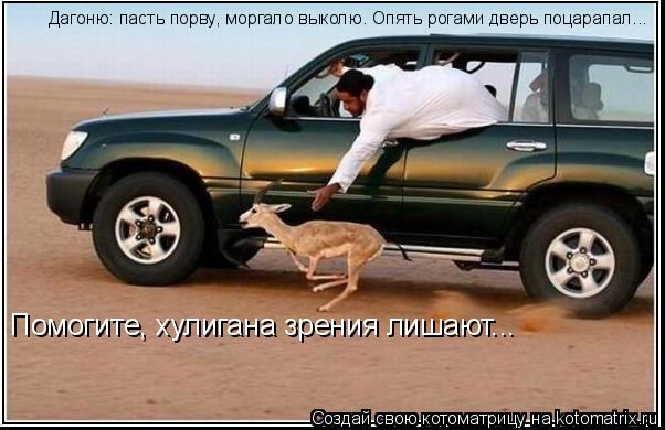 Котоматрица: Помогите, хулигана зрения лишают... Дагоню: пасть порву, моргало выколю. Опять рогами дверь поцарапал...