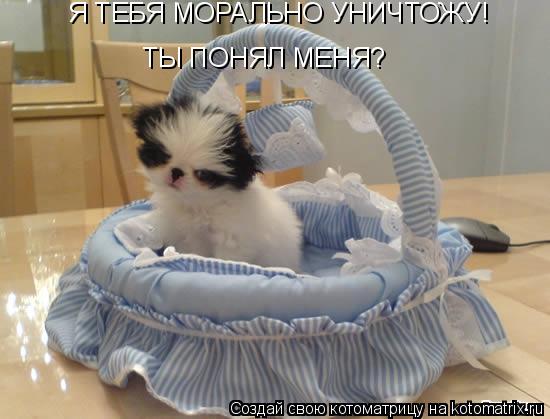 Котоматрица: Я ТЕБЯ МОРАЛЬНО УНИЧТОЖУ! ТЫ ПОНЯЛ МЕНЯ?