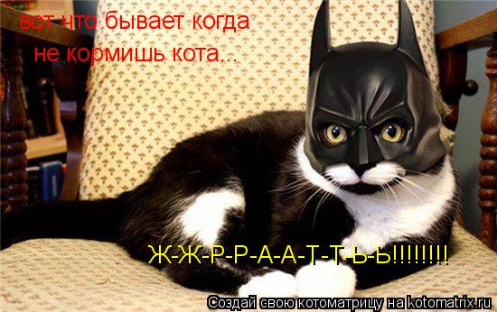 Котоматрица: вот что бывает когда не кормишь кота... Ж-Ж-Р-Р-А-А-Т-Т-Ь-Ь!!!!!!!!