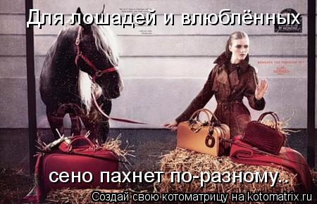 Котоматрица: Для лошадей и влюблённых сено пахнет по-разному..