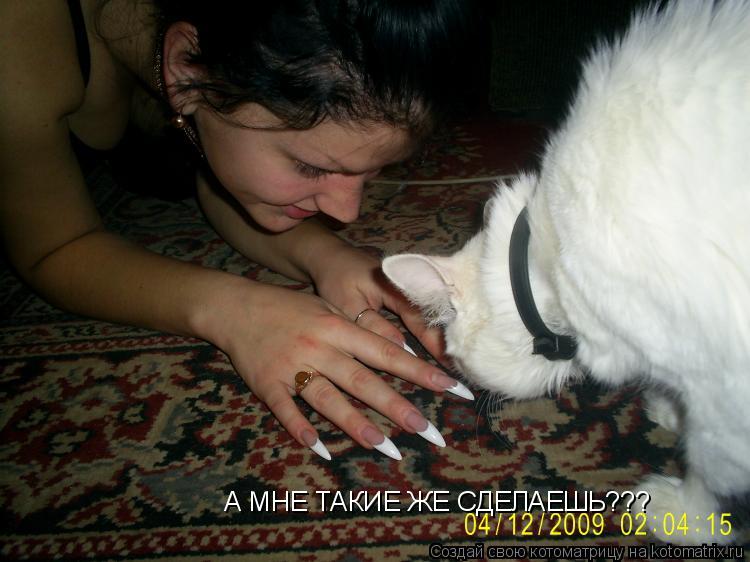 Котоматрица: А МНЕ ТАКИЕ ЖЕ СДЕЛАЕШЬ???