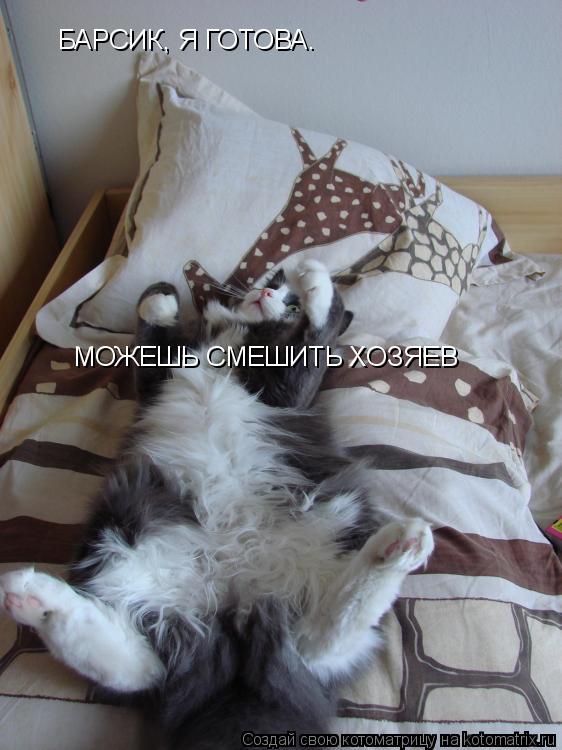 Котоматрица: БАРСИК, Я ГОТОВА.                                                                            МОЖЕШЬ СМЕШИТЬ ХОЗЯЕВ МОЖЕШЬ СМЕШИТЬ ХОЗЯЕВ