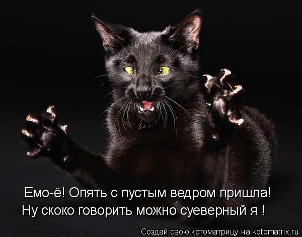 Котоматрица: Емо-ё! Опять с пустым ведром пришла!  Ну скоко говорить можно суеверный я !