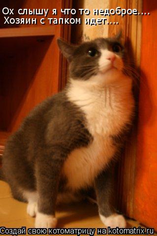 Котоматрица: Ох слышу я что то недоброе.... Хозяин с тапком идет....