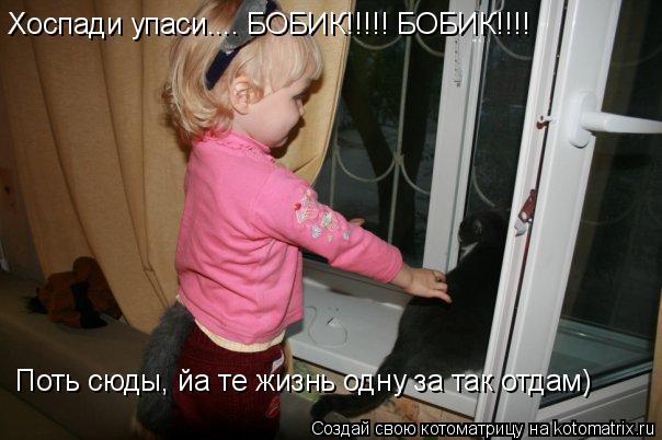 Котоматрица: Хоспади упаси.... БОБИК!!!!! БОБИК!!!! Поть сюды, йа те жизнь одну за так отдам)