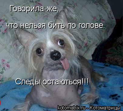 Котоматрица: Говорила-же, что нельзя бить по голове. Следы остаються!!!