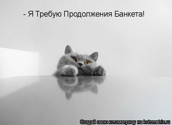Котоматрица: - Я Требую Продолжения Банкета!