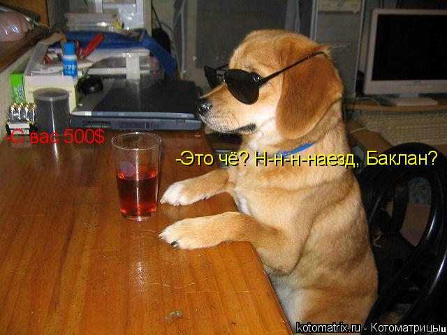 Котоматрица: -С вас 500$ -Это чё? Н-н-н-наезд, Баклан?