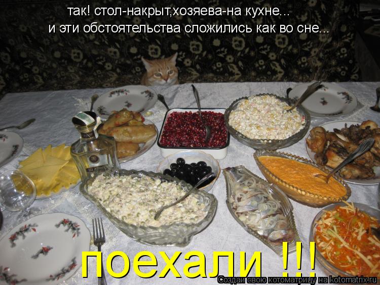 Котоматрица: так! стол-накрыт,хозяева-на кухне... поехали !!! и эти обстоятельства сложились как во сне...