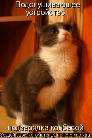 Котоматрица: Подслушивающее  устройство -подзарядка колбасой