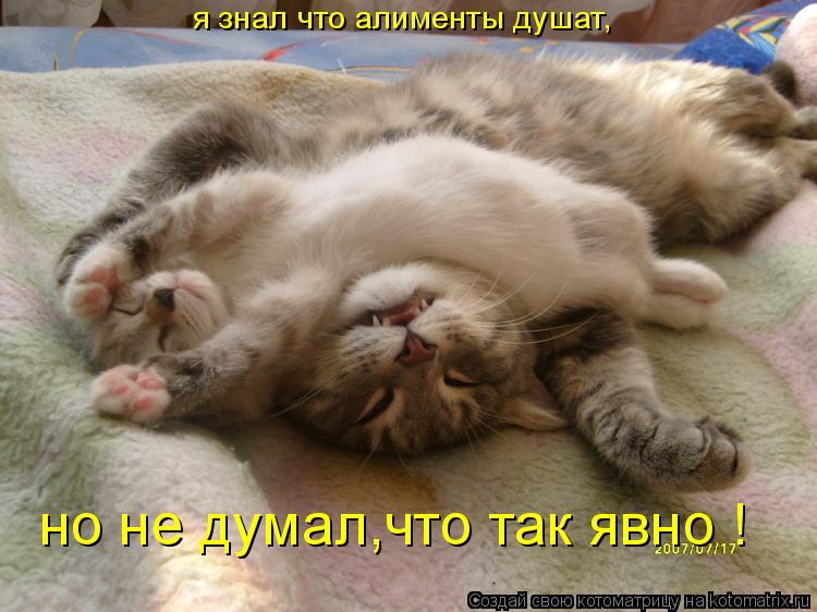 я знал что алименты душат, но не думал,что так явно !... Котоматрица: я знал что алименты душат, но не думал,что так явно !