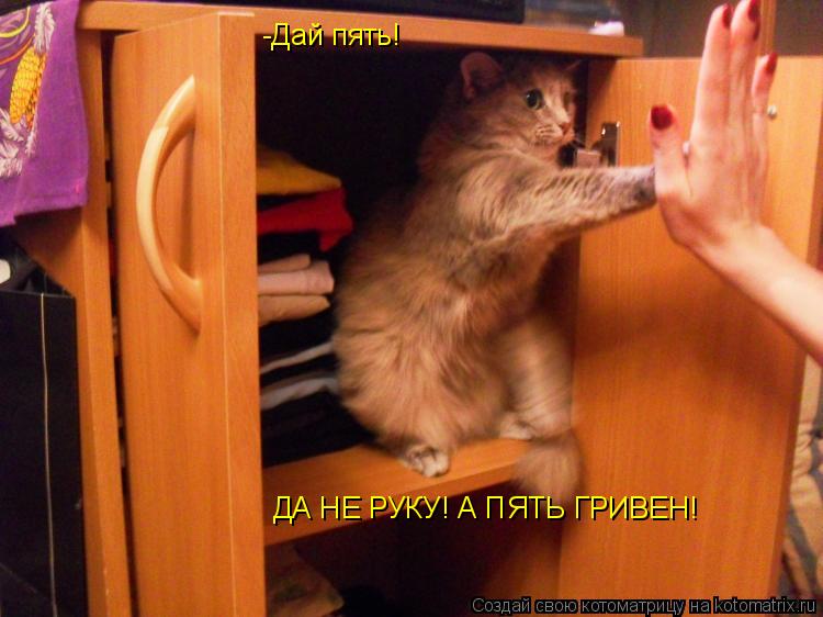Котоматрица: -Дай пять! ДА НЕ РУКУ! А ПЯТЬ ГРИВЕН!