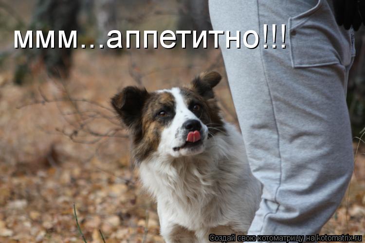 Котоматрица: ммм...аппетитно!!!