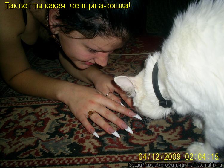 Котоматрица: Так вот ты какая, женщина-кошка!