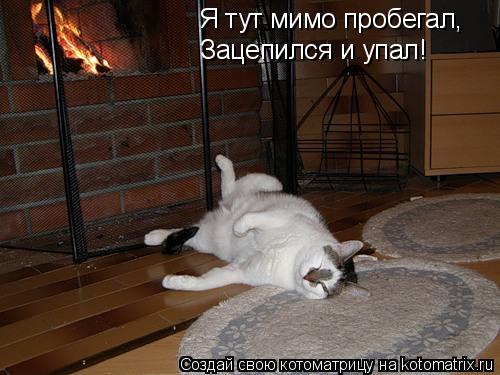 Котоматрица: Я тут мимо пробегал, Зацепился и упал!