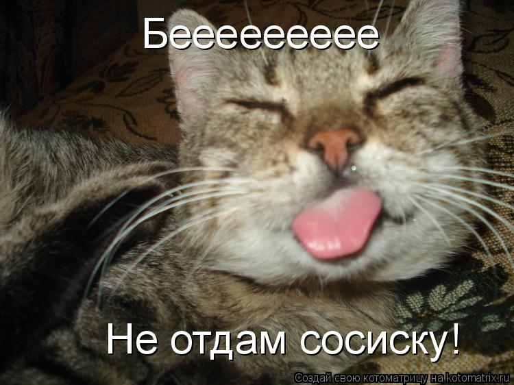 Котоматрица: Беееееееее Не отдам сосиску!