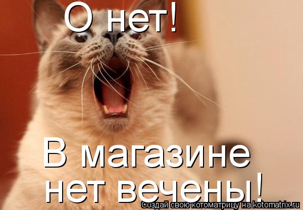 Котоматрица: О нет!  В магазине нет вечены!