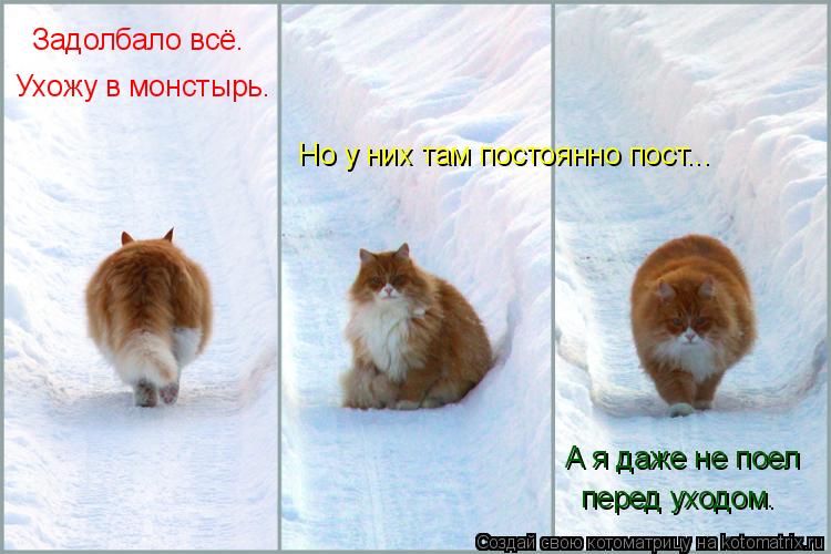 Но у них там постоянно пост... Задолбало всё. Ухожу в монстырь. А я даже не поел перед уходом.... Котоматрица: Но у них там постоянно пост... Задолбало всё. Ухожу в монстырь. А я даже не поел перед уходом.