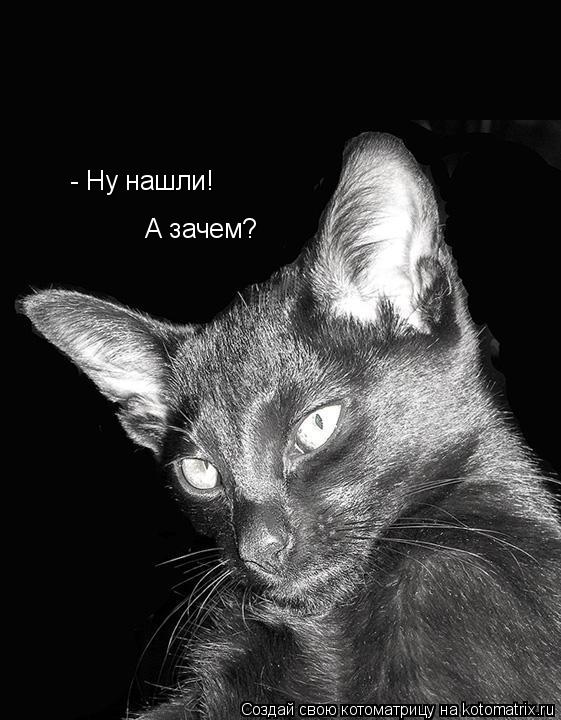 Котоматрица: - Ну нашли! А зачем?
