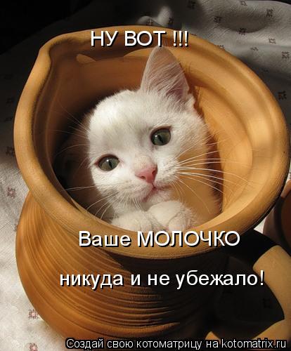 Котоматрица: НУ ВОТ !!! Ваше МОЛОЧКО никуда и не убежало!