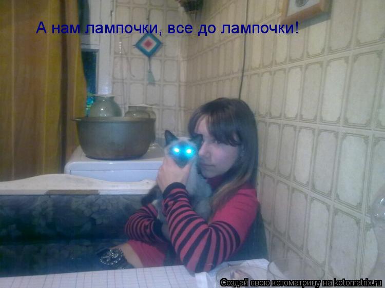 Котоматрица: А нам лампочки, все до лампочки!