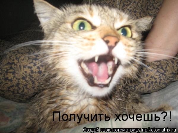Получить хочешь?!... Котоматрица: Получить хочешь?!