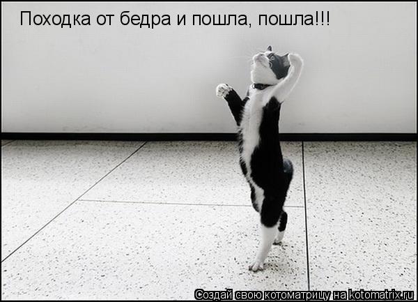 Котоматрица: Походка от бедра и пошла, пошла!!!