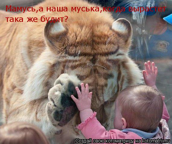 Котоматрица: Мамусь,а наша муська,когда вырастет  така же будит?