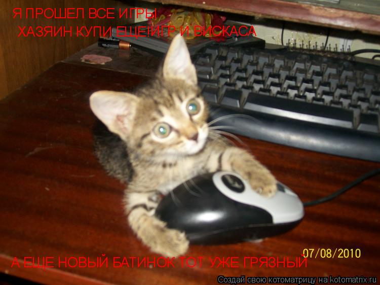 Котоматрица: Я ПРОШЕЛ ВСЕ ИГРЫ ХАЗЯИН КУПИ ЕЩЕ! ИГР И ВИСКАСА А ЕЩЕ НОВЫЙ БАТИНОК ТОТ УЖЕ ГРЯЗНЫЙ