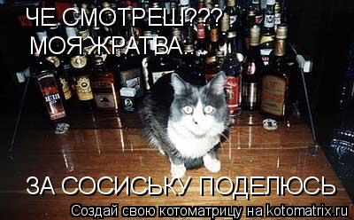 Котоматрица: ЧЕ СМОТРЕШ??? МОЯ ЖРАТВА... ЗА СОСИСЬКУ ПОДЕЛЮСЬ
