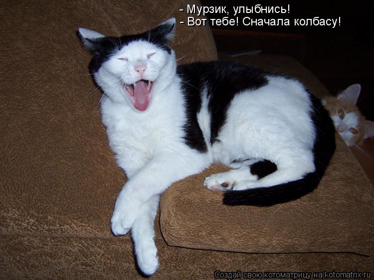 Котоматрица: - Мурзик, улыбнись! - Вот тебе! Сначала колбасу!