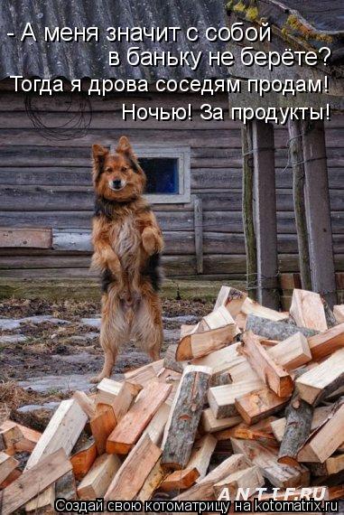 Котоматрица: - А меня значит с собой  в баньку не берёте? Тогда я дрова соседям продам! Ночью! За продукты!