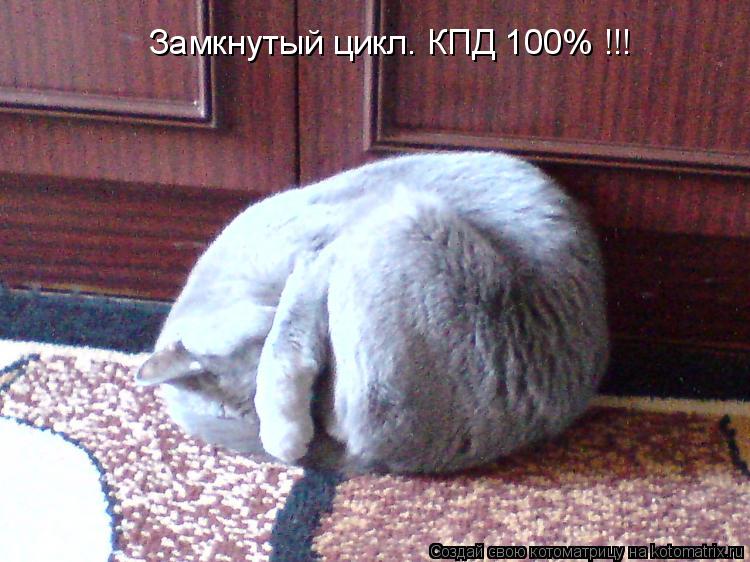 Котоматрица: Замкнутый цикл. КПД 100% !!!
