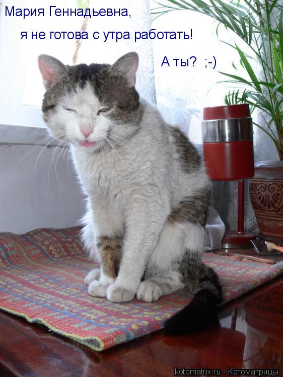 Котоматрица: Мария Геннадьевна,  я не готова с утра работать! А ты?  ;-)
