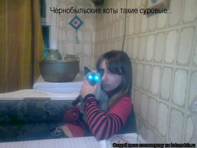 Котоматрица: Чернобыльские коты такие суровые...