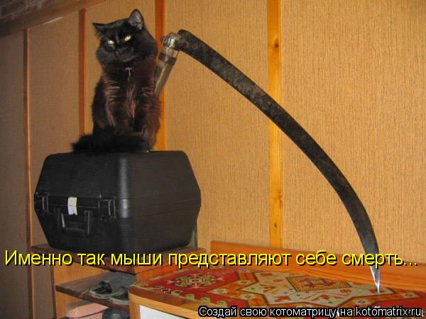 Именно так мыши представляют себе смерть...... Котоматрица: Именно так мыши представляют себе смерть...