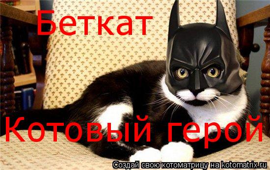 Котоматрица: Беткат Котовый герой