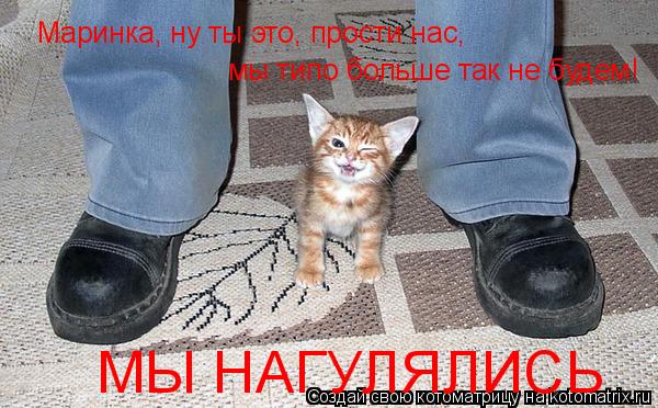 Котоматрица: мы типо больше так не будем! Маринка, ну ты это, прости нас,  МЫ НАГУЛЯЛИСЬ