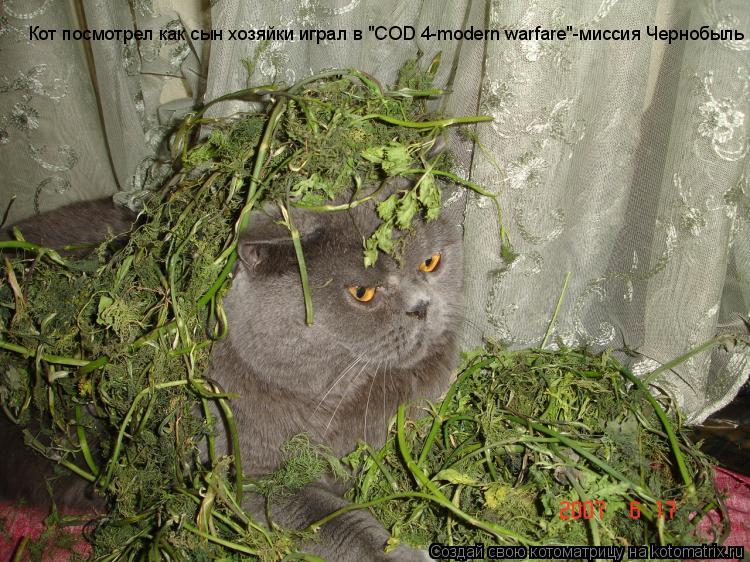 Котоматрица: Кот посмотрел как сын хозяйки играл в "COD 4-modern warfare"-миссия Чернобыль