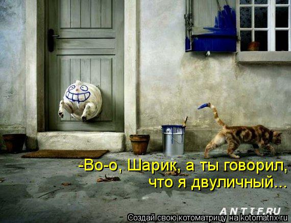 Котоматрица: -Во-о, Шарик, а ты говорил,  что я двуличный...