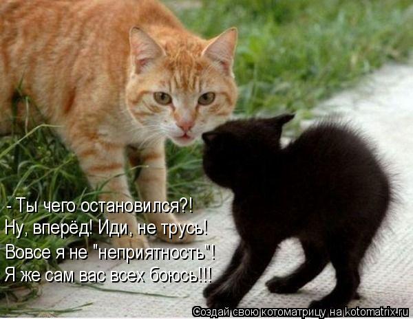 Котоматрица: - Ты чего остановился?! Ну, вперёд! Иди, не трусь! Вовсе я не "неприятность"! Я же сам вас всех боюсь!!!